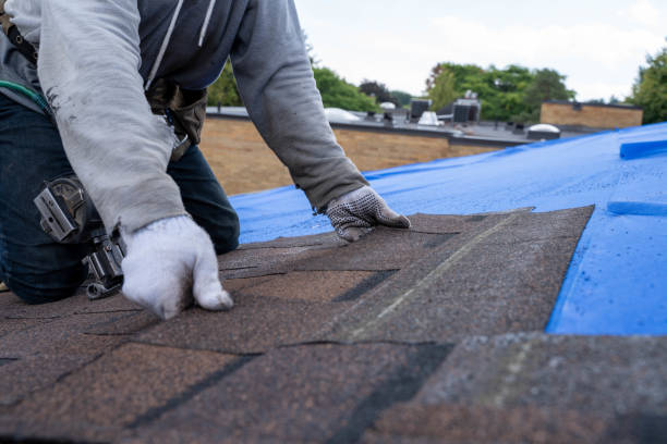 Best Residential Roofing Contractor  in Greenfield, IN